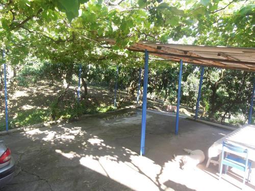 Верхняя Эшера: Guest house Mandarinovyj sad