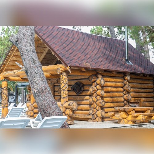 Цитрусовый: Отель Золотые Пески