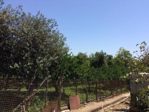 Цкуара: Guest house Little Paradise