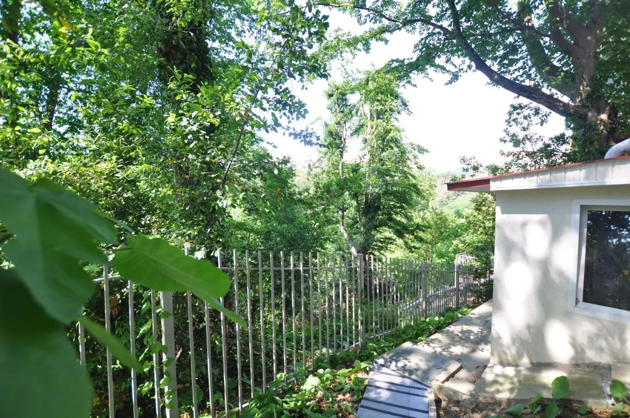 Сочи: Town park