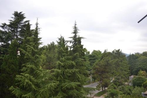 Сухум: U Morya Guesthouse