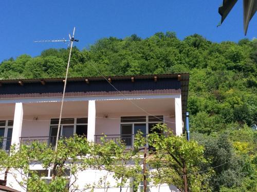 Гагра: Guest House Elmas