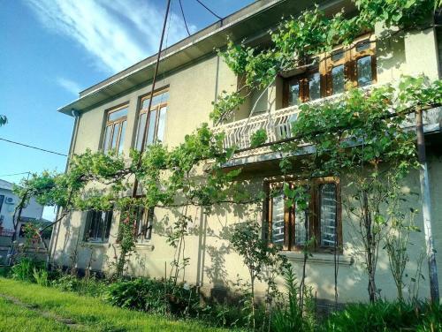 Очамчира: Teya Guest House