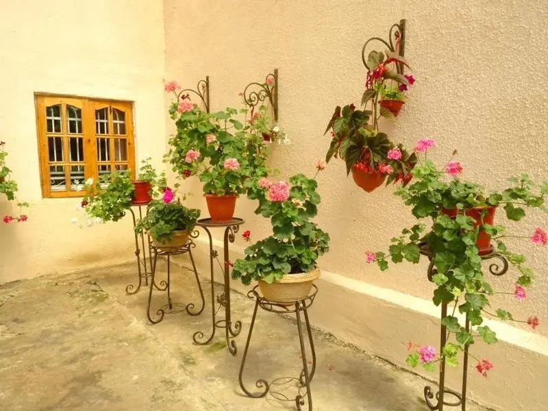 Сухум: Guesthouse on Zheleznodorozhnaya