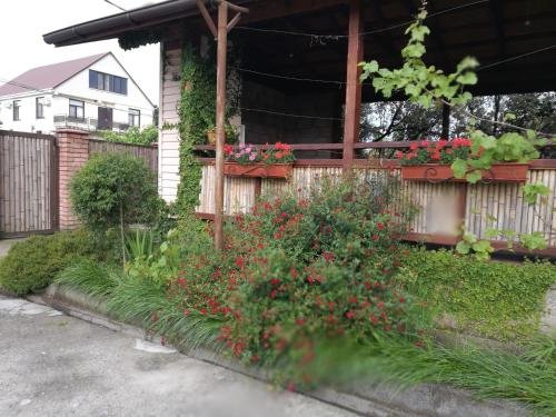 Цандрыпш: Guesthouse Olga
