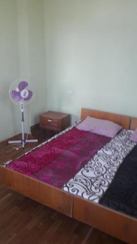Новый Афон: Gayane Guest House
