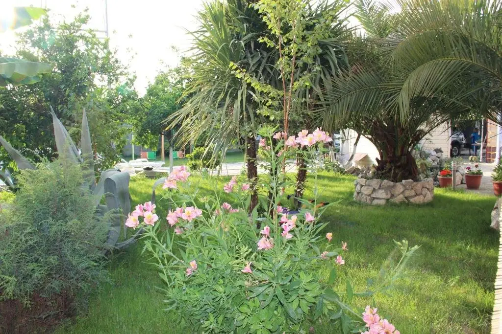 Цандрыпш: Guest House u Adama