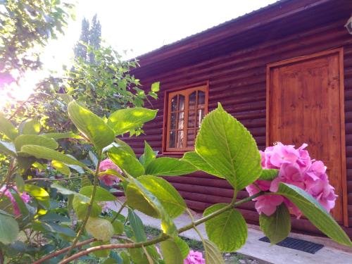 Гечрипш: Magnolia