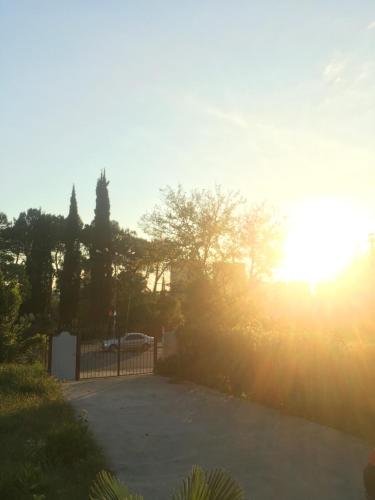 Гагра: Villa Marsella