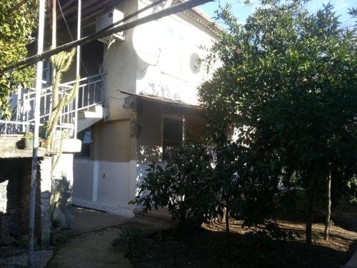 Лдзаа: Guest house Yuzhnaya Palmira
