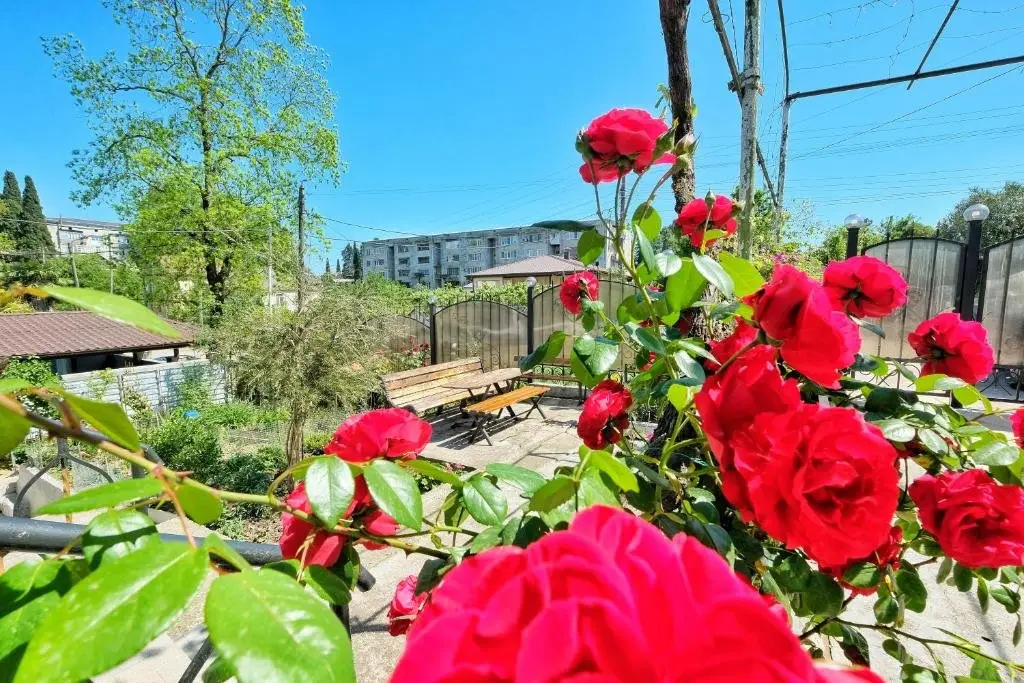 Гудаута: Guest House Rusalka