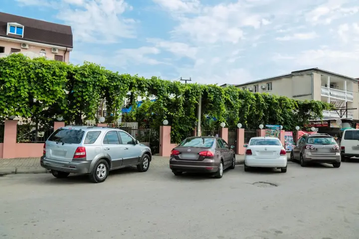 Гагра: Abhaz-Leo, byvsh. Loza (Gagra)