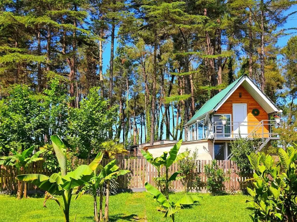 Шекветили: Sesil S entire house 60m from beach