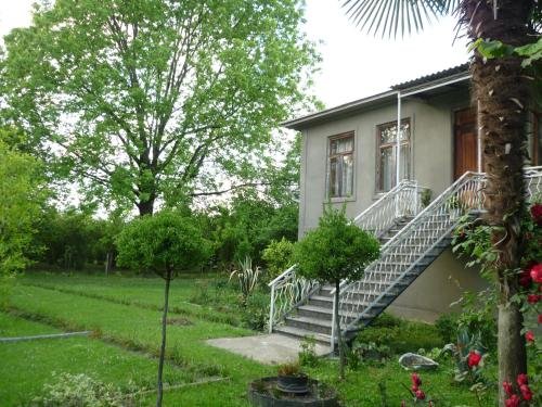 Дарчели: Andria Aiaco House Anaklia