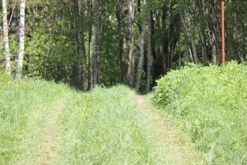 Svistunovo Camping — фото 1