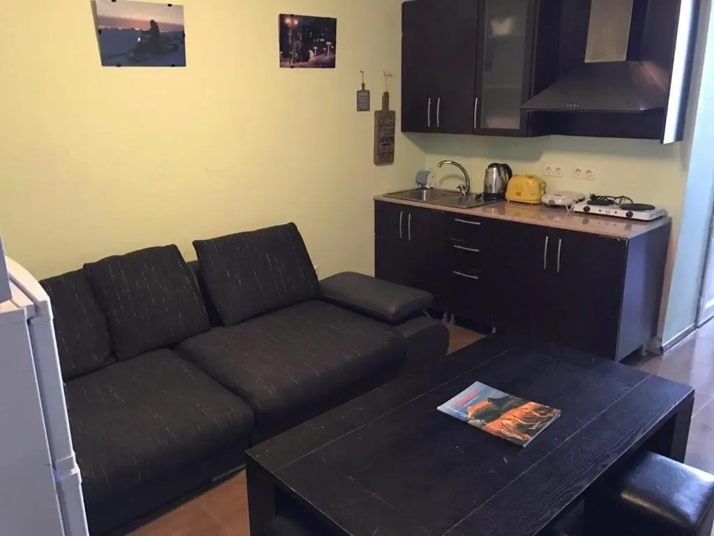 Гудаури: goga apartment