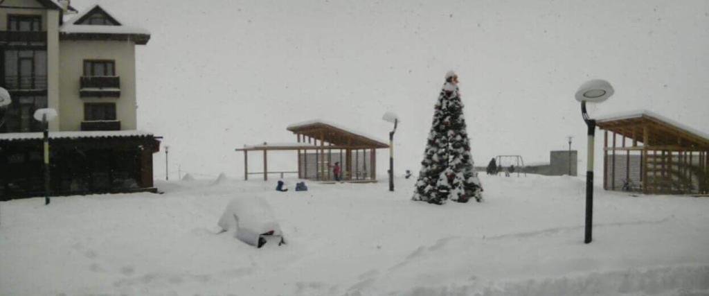 Гудаури: New Gudauri ski-resort