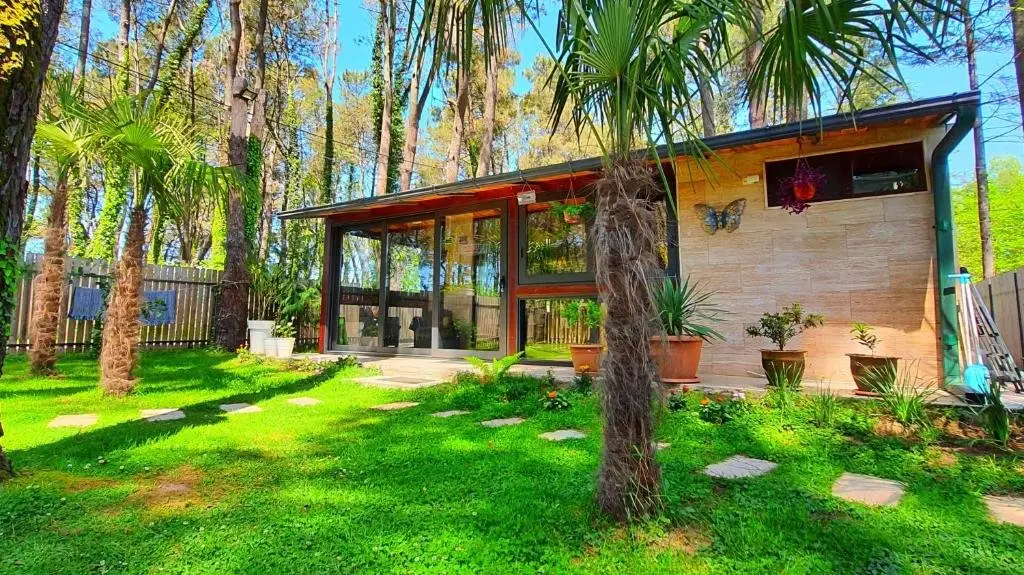 Шекветили: House in the forest Sesil XS premium 60m to sea