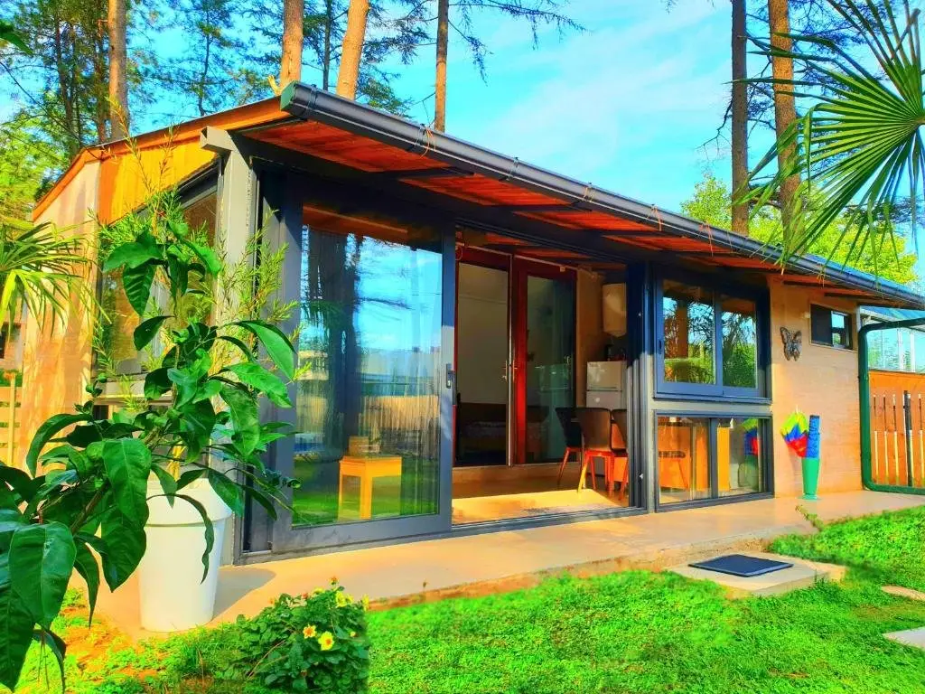 Шекветили: House in the forest Sesil XS premium 60m to sea