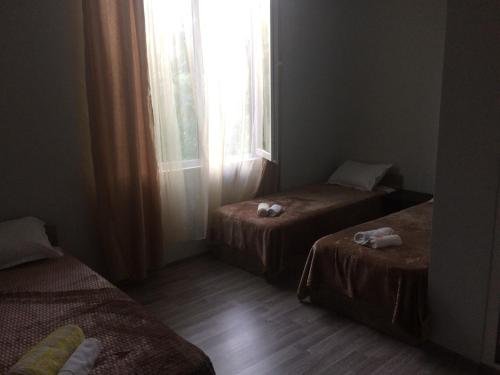 Джвари: guest house QEDI