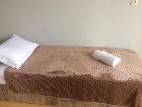 Джвари: guest house QEDI
