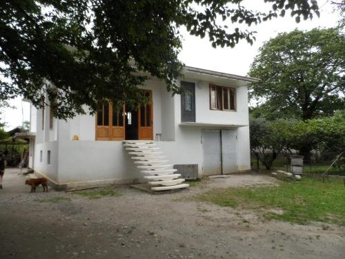 Дарчели: Eva House Darcheli