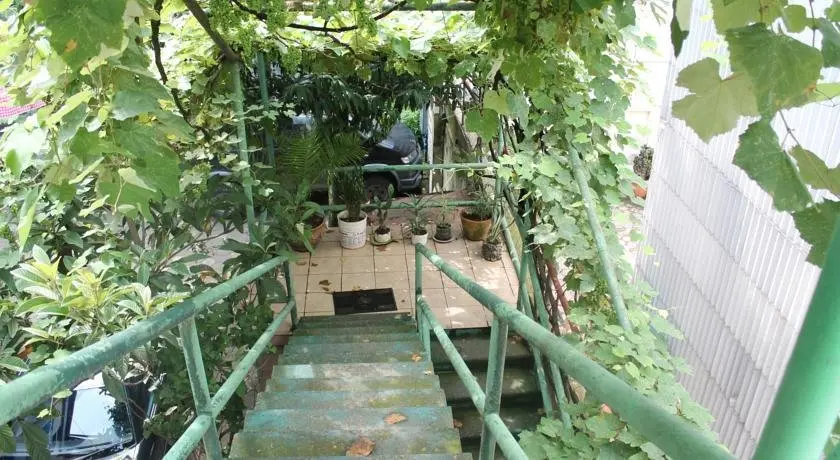Батуми: Guest House Levani
