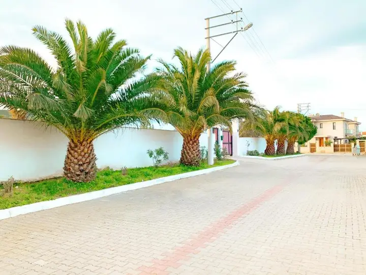 Чешме: ALASHATO Alacati