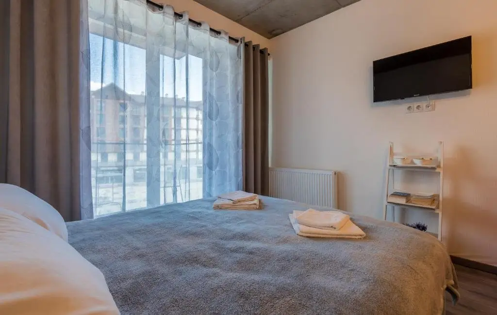Гудаури: loft1 apartment 302