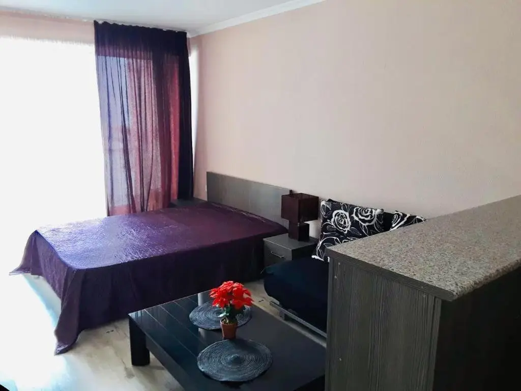 Гудаури: apartament_IVA
