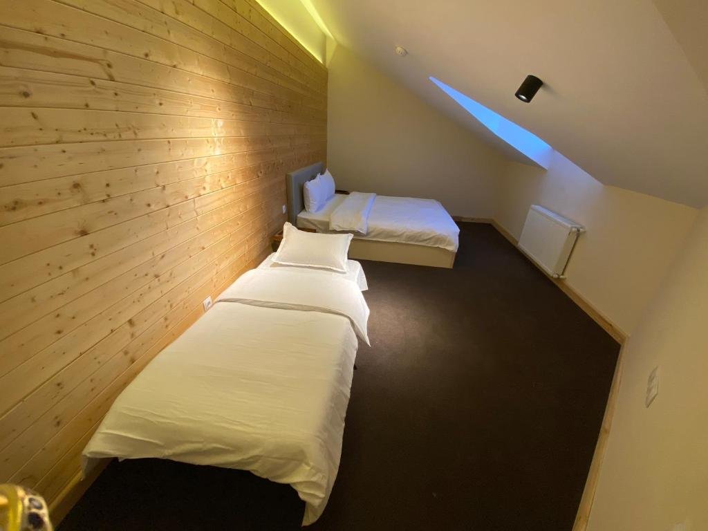 Гудаури: New Gudauri spa&resorts Suites