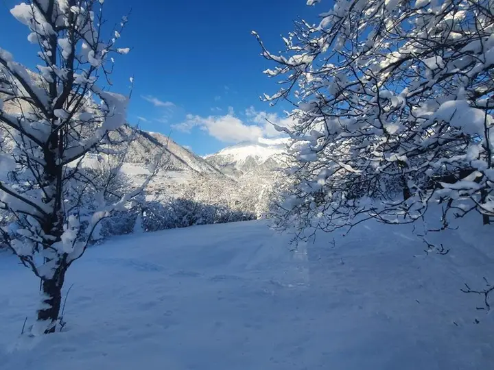 Местиа: kahri