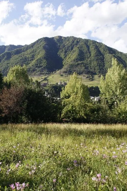 Местиа: kahri