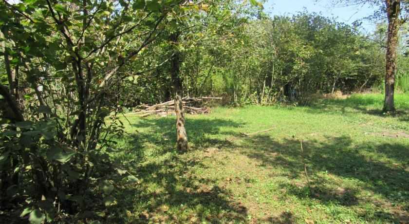 Мартвили: Guest House Martvili on Kostava