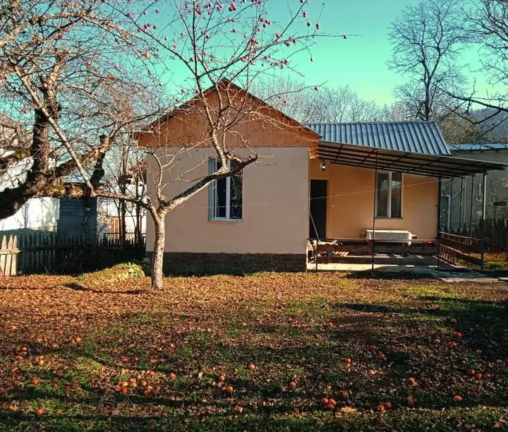 Боржоми: Corner house in Tsemi near Bakuriani