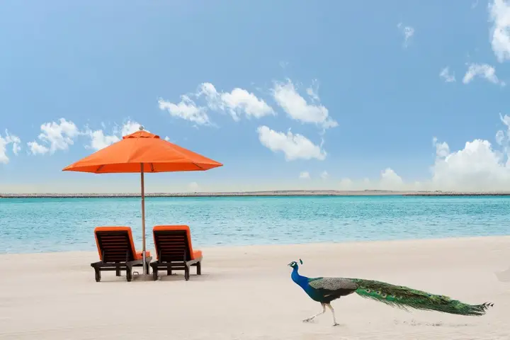 Дубай: JA The Resort - JA Palm Tree Court
