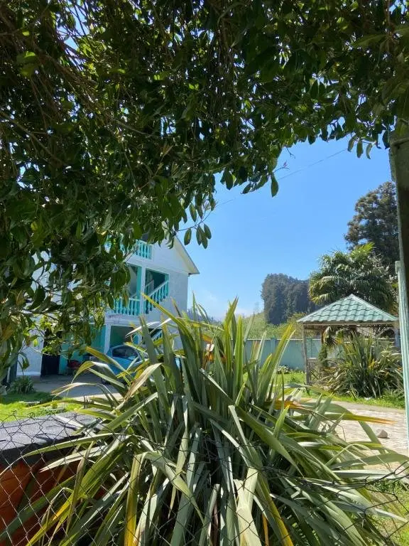 Батуми: Homestay in Batumi
