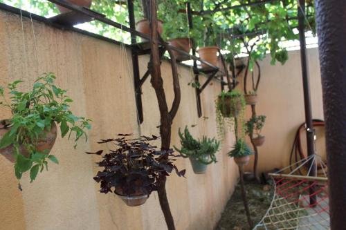 Тбилиси: Guest House - Avlabari