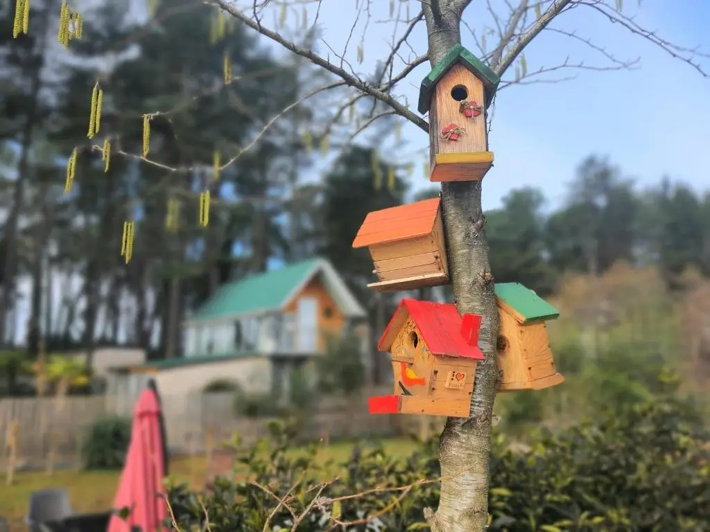 Шекветили: House & Yard Sesil L 90 M To Beach