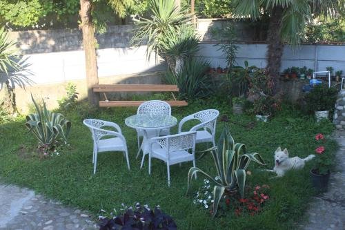 Батуми: Greenview Guesthouse