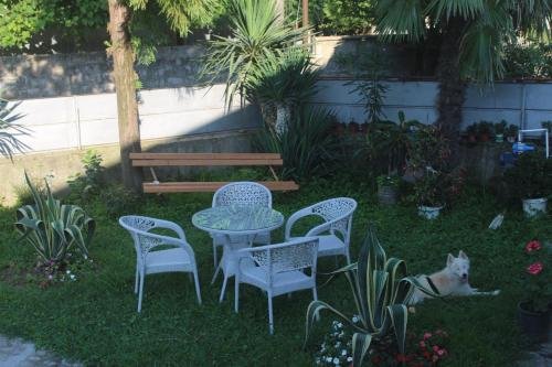 Батуми: Greenview Guesthouse