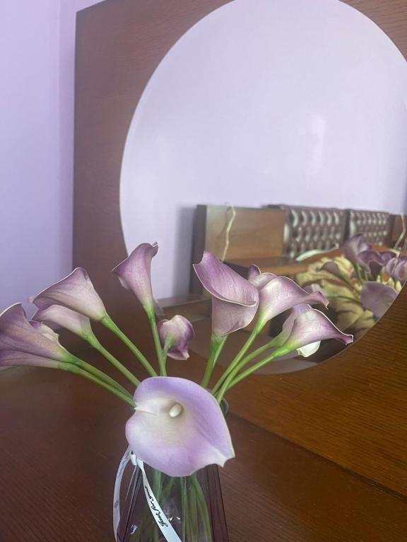 Дарчели: Hotel Odabade