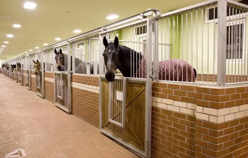 Акьяка: Бутик-отель Padok Premium Hotel & Stables
