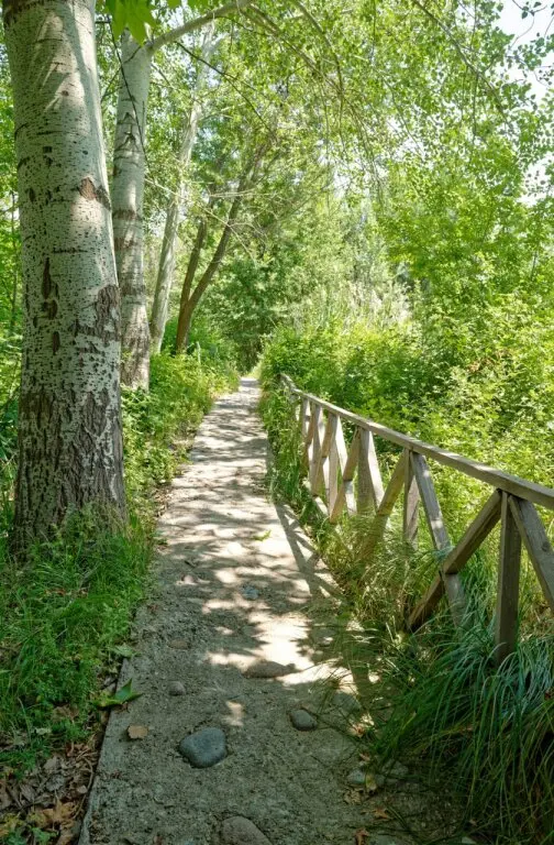 Ташкент: База отдыха Rano Eco Village