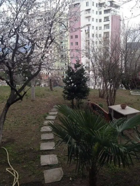 Тбилиси: 55z Zhiuli Shartava Street