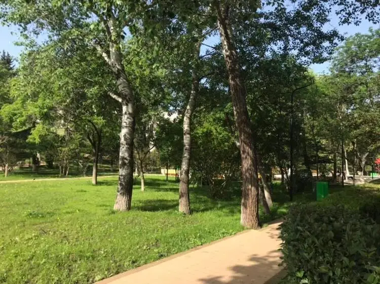 Тбилиси: 29a Kazbegi Avenue Apartment