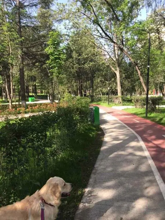 Тбилиси: 29a Kazbegi Avenue Apartment