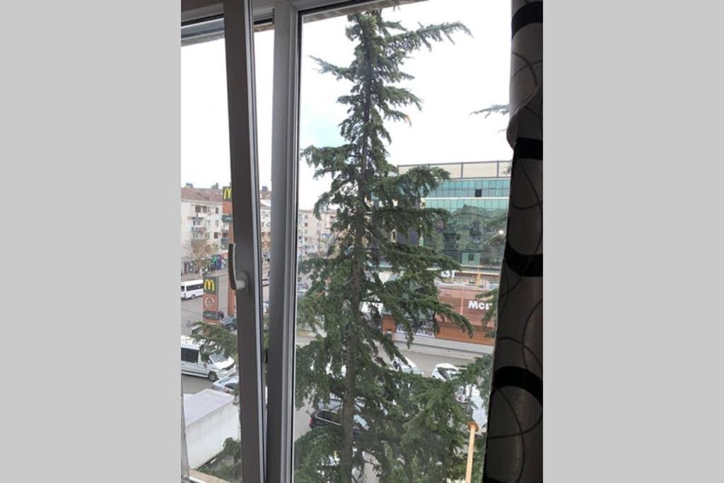 Кутаиси: 1BD apartment