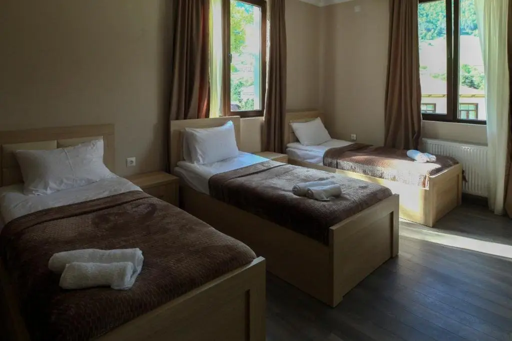Местиа: Hotel Patriot