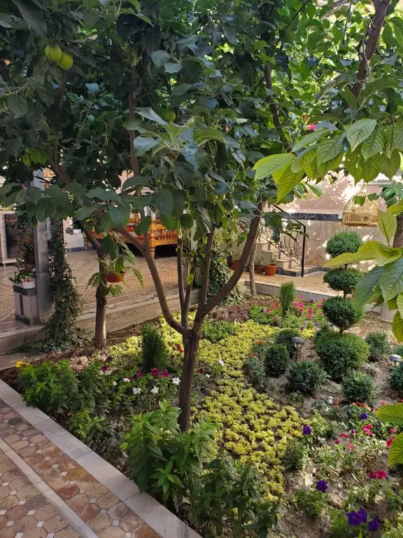 Самарканд: Гостевой Дом Nursultan Grand